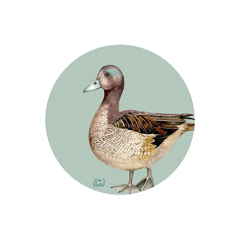 Set 6 individuales Pato Silvestre 2- Redondo 37 x 37 cm