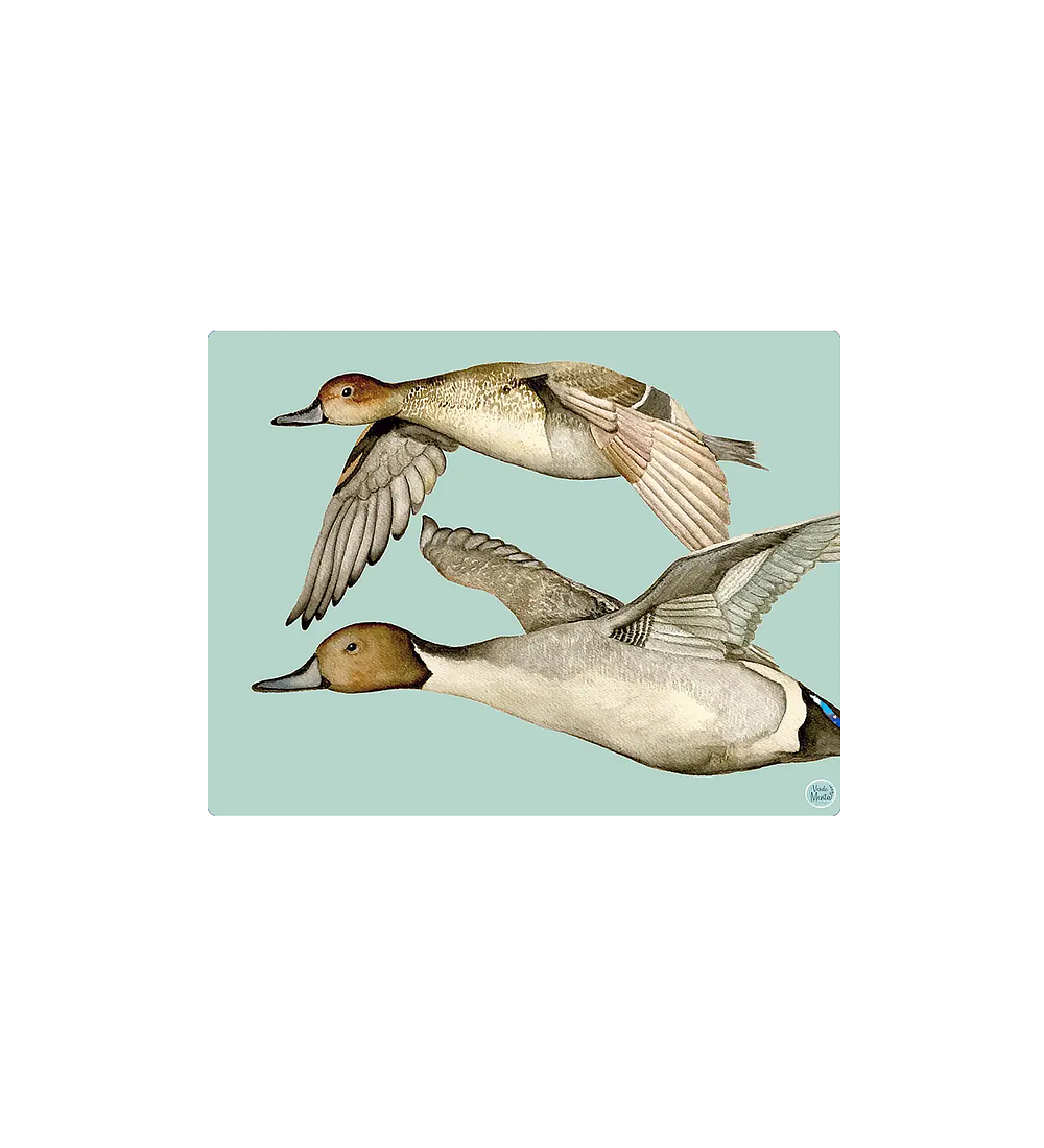 Set 8 Individuales Gansos 2 Rectangular 32 x 42 cm