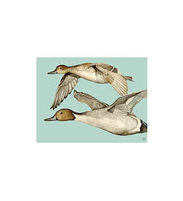 Set 8 Individuales Gansos 2 Rectangular 32 x 42 cm