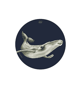 Set 6 Individuales Ballena Jorobada - Redondo 37 X 37 Cm