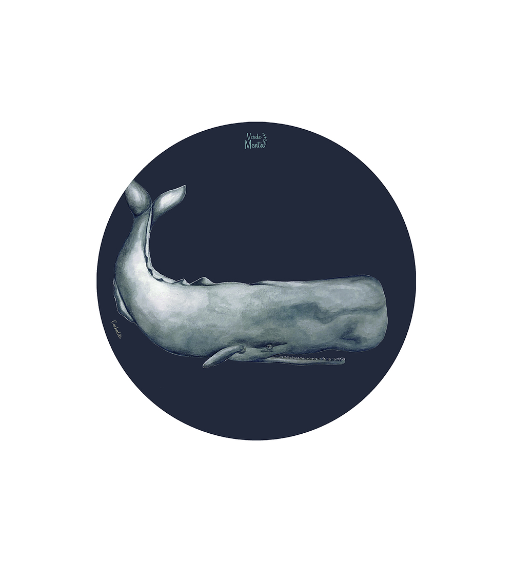 Set 6 Individuales Cachalote - Redondo 37 X 37 Cm