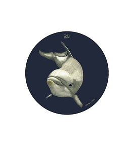 Set 6 Individuales Delfin Nariz De Botella - Redondo 37 X 37 Cm