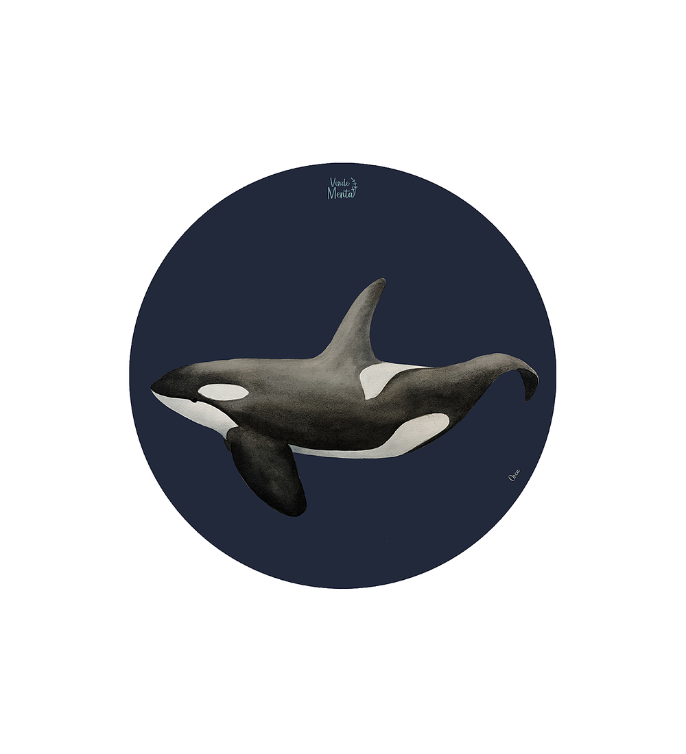 Set 6 Individuales Orca - Redondo 37 X 37 Cm