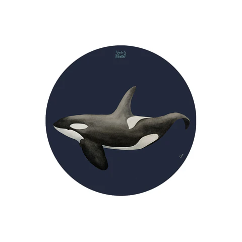 Set 6 Individuales Orca - Redondo 37 X 37 Cm