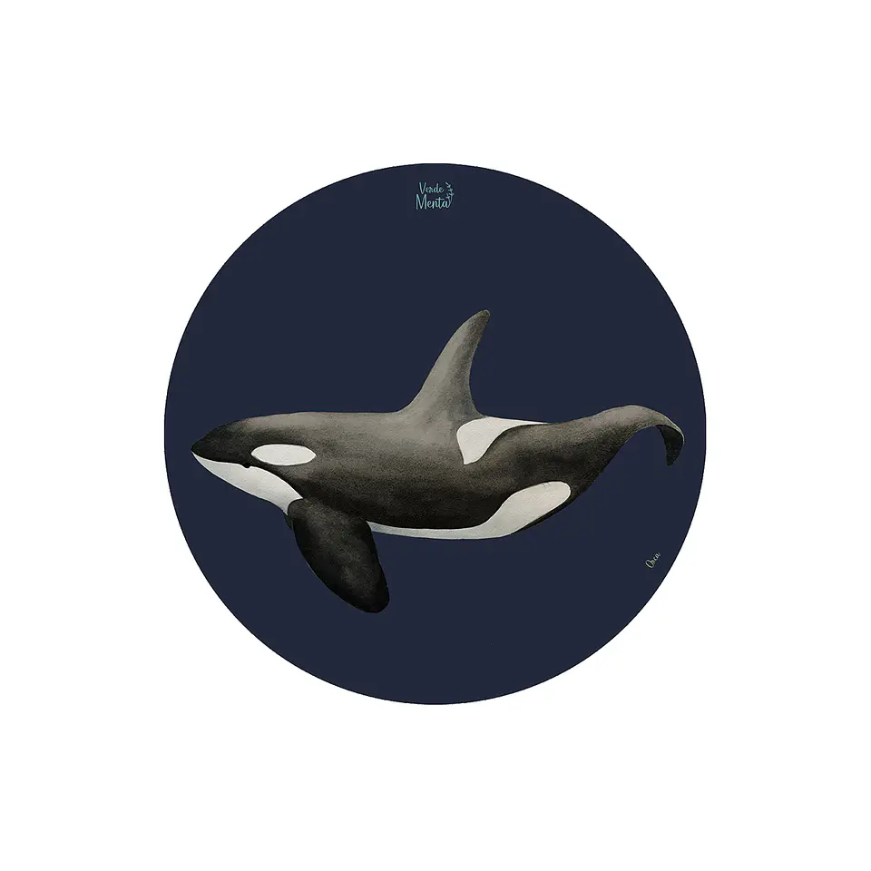 Set 6 Individuales Orca - Redondo 37 X 37 Cm 1