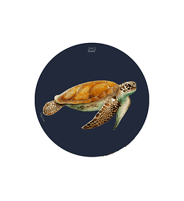 Set 6 Individuales Tortuga Verde - Redondo 37 X 37 Cm