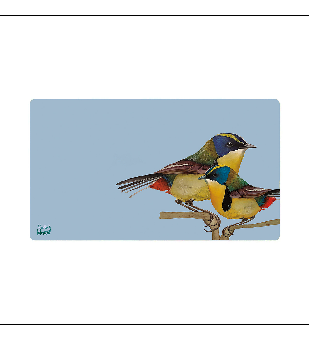 Office Pad Siete Colores - 40 X 70 Cm