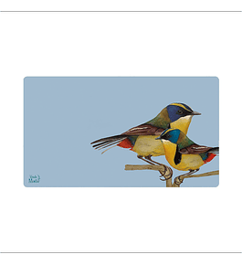 Office Pad Siete Colores - 40 X 70 Cm