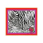 Cebra - Miniatura 3