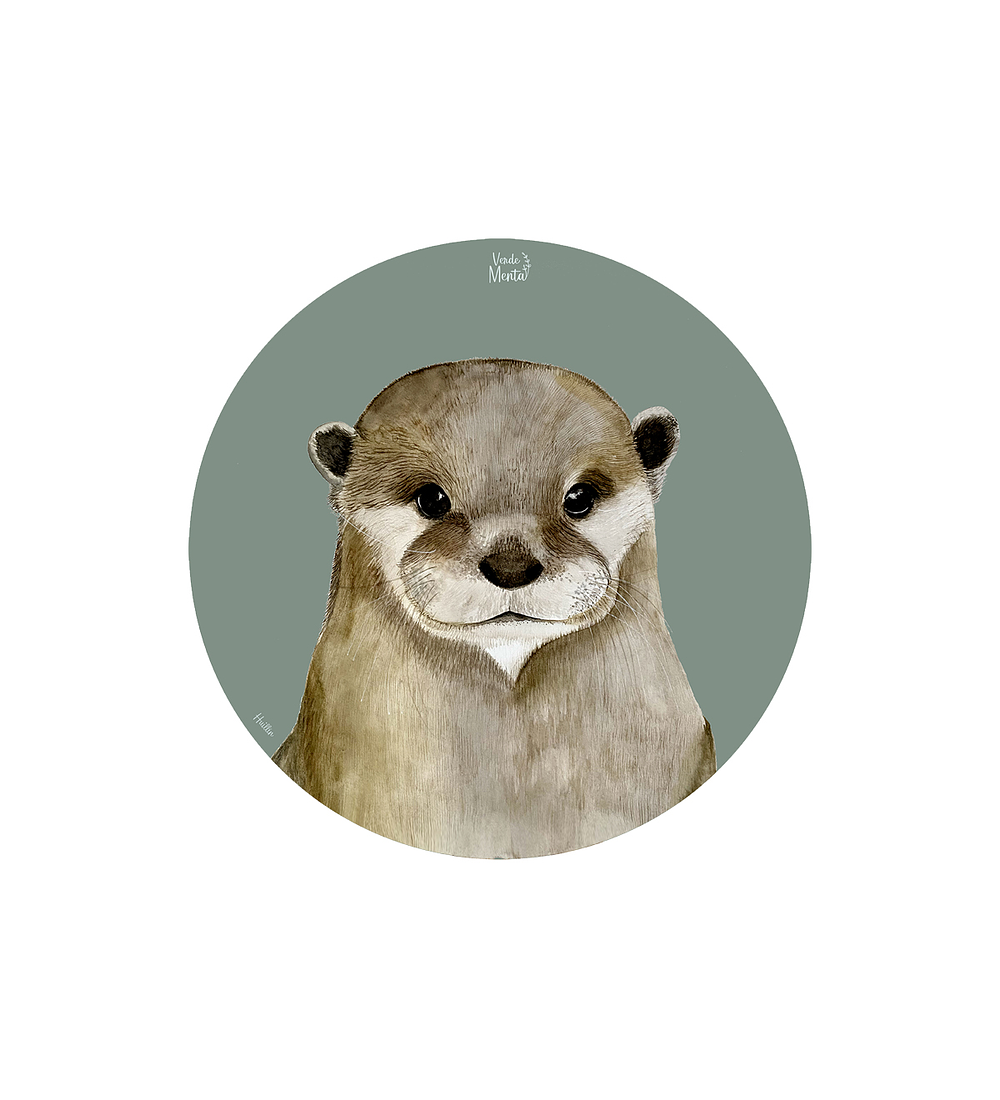 Set 6 individuales Huillín- Redondo 37 x 37 cm