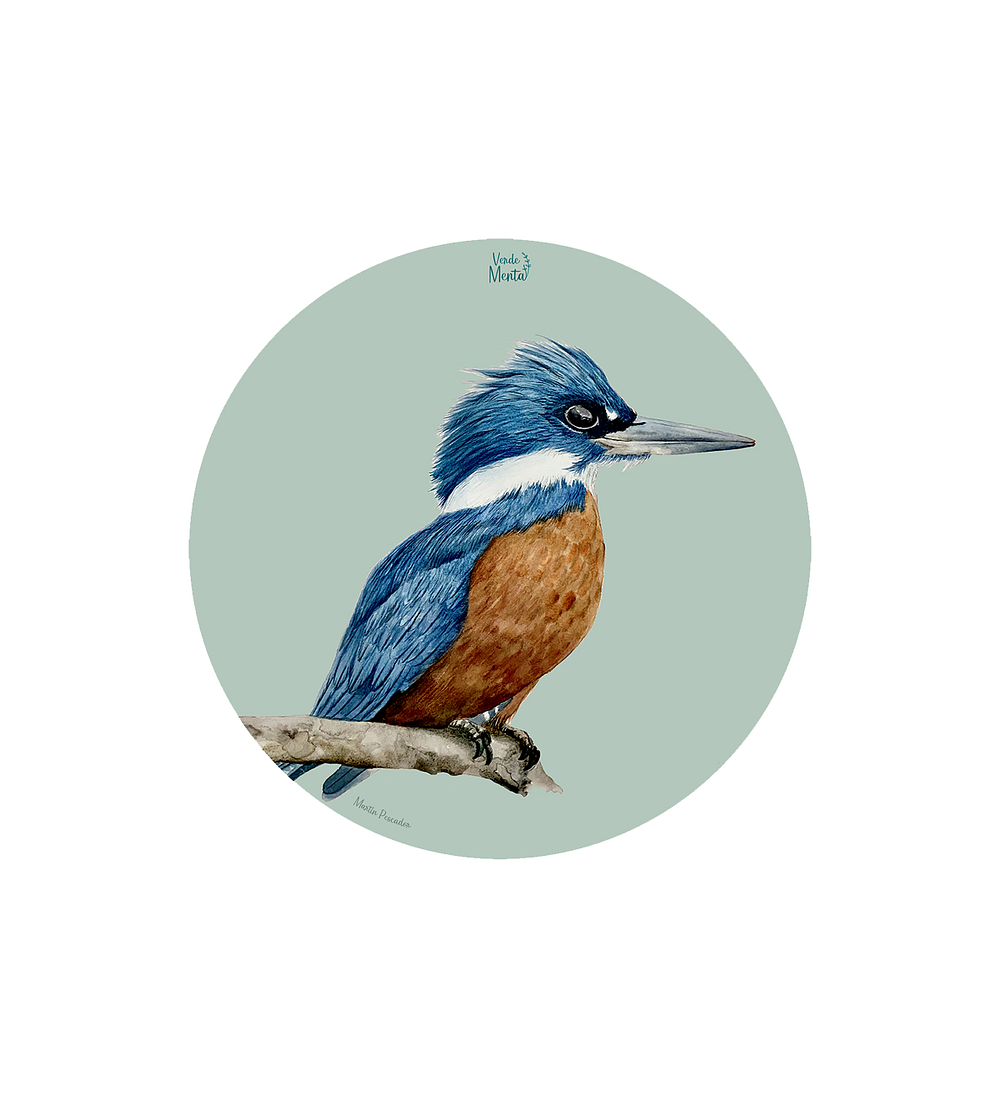Set 6 individuales Martín Pescador- Redondo 37 x 37 cm