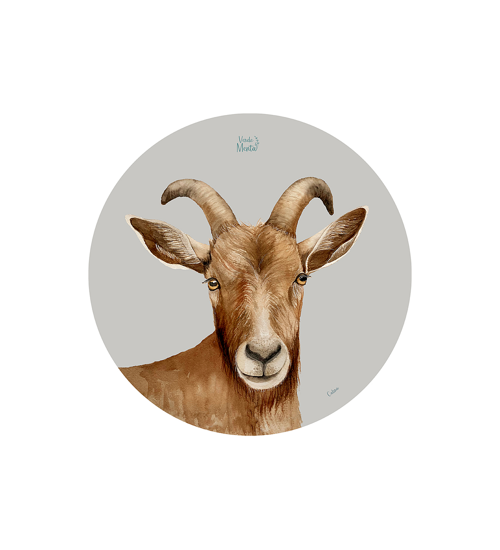 Set 6 individuales Cabra - Redondo 37 x 37 cm