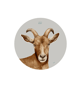 Set 6 individuales Cabra - Redondo 37 x 37 cm