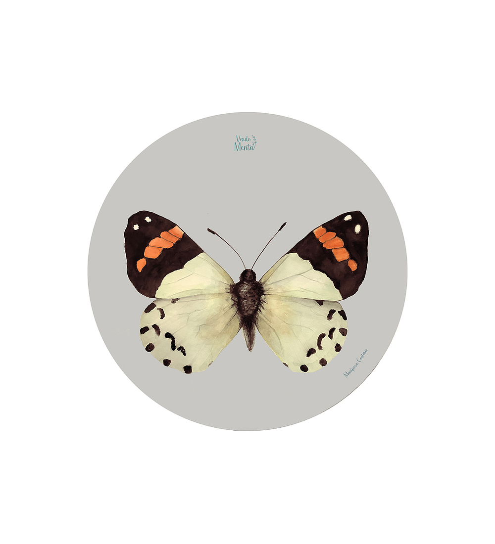 Set 6 individuales Mariposa Costera- Redondo 37 x 37 cm