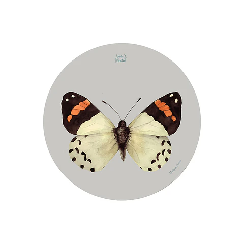 Set 6 individuales Mariposa Costera- Redondo 37 x 37 cm