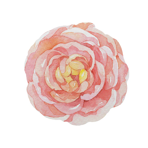 Set 6 Individuales Flor Tempo Carmin
