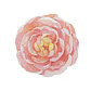 Set 6 Individuales Flor Tempo Carmin - Miniatura 1