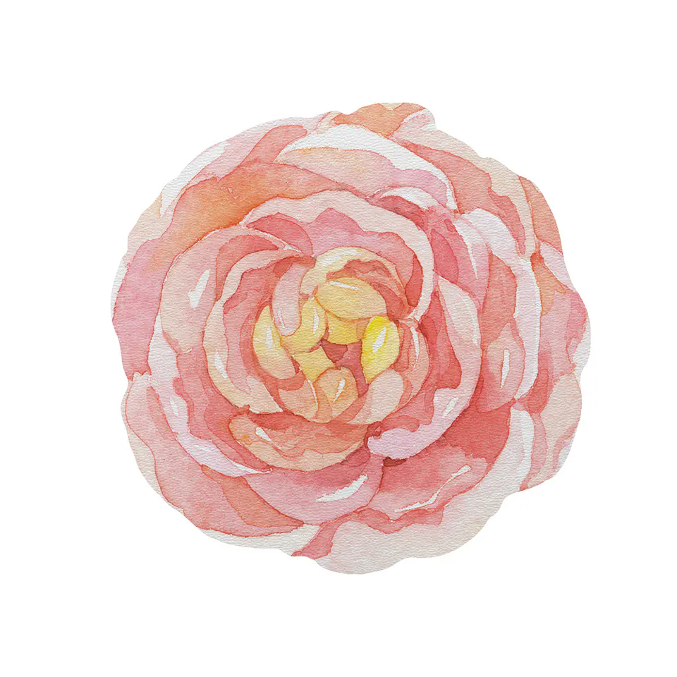 Set 6 Individuales Flor Tempo Carmin 1