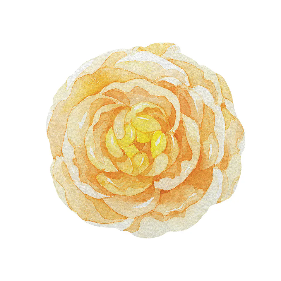 Set 6 Individuales Flor Tempo Ambar 1