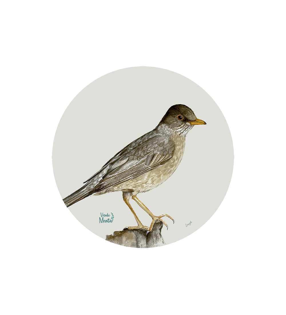 Set 6 individuales Zorzal - Redondo 37 x 37 cm