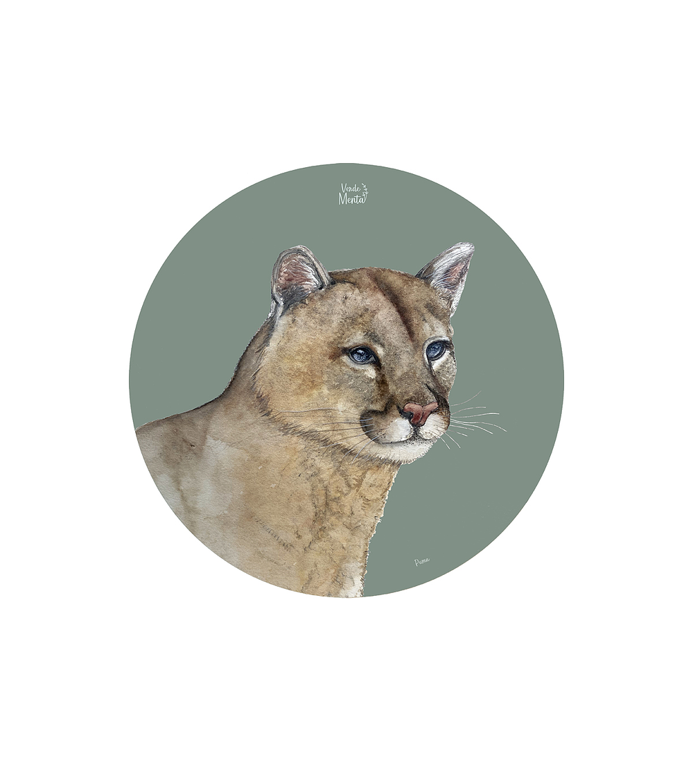 Set 6 individuales Puma - Redondo 37 x 37 cm