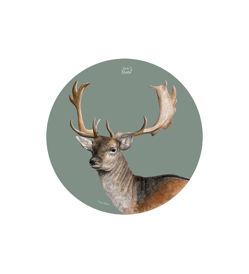 Set 6 individuales Ciervo Dama- Redondo 37 x 37 cm