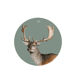 Set 6 individuales Ciervo Dama- Redondo 37 x 37 cm