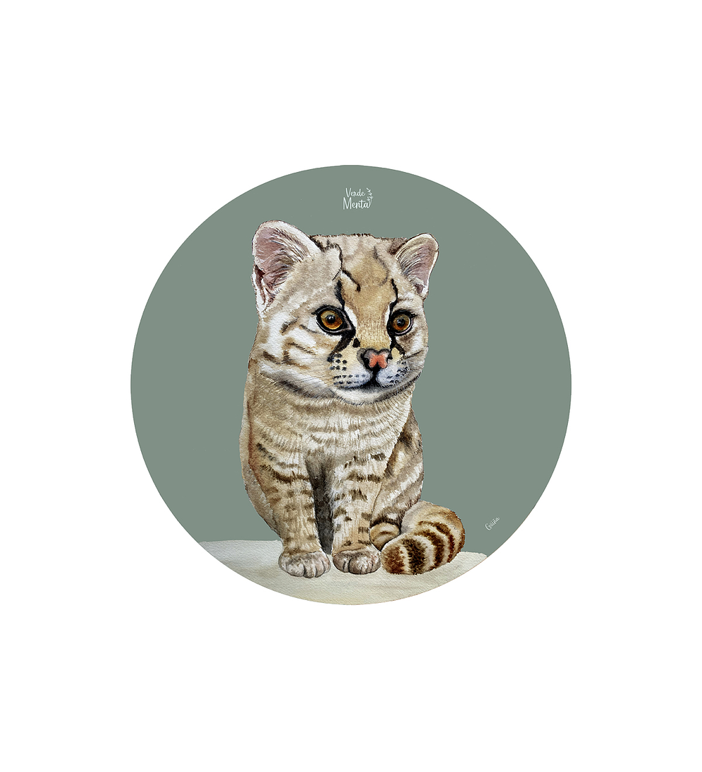 Set 6 individuales Guiña Redondo 37 x 37 cm