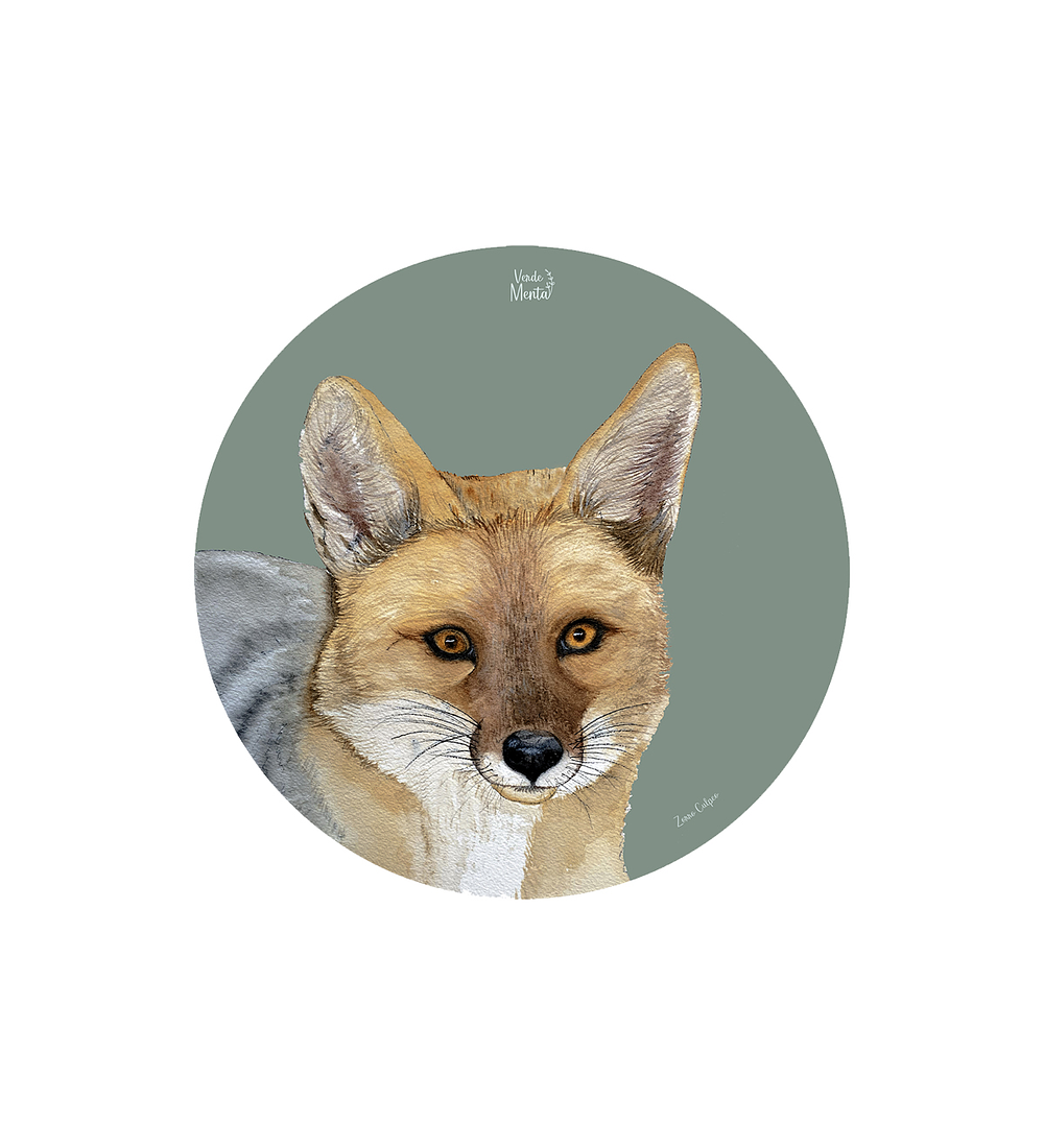 Set 6 individuales Zorro Culpeo Redondo 37 x 37 cm