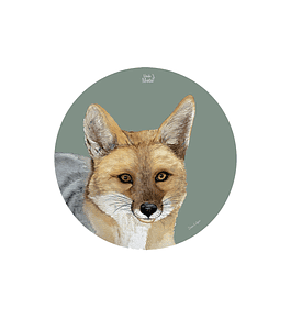 Set 6 individuales Zorro Culpeo Redondo 37 x 37 cm