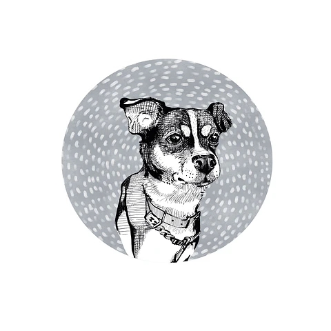 Set 6 Individuales Graba Perros Max Redondos
