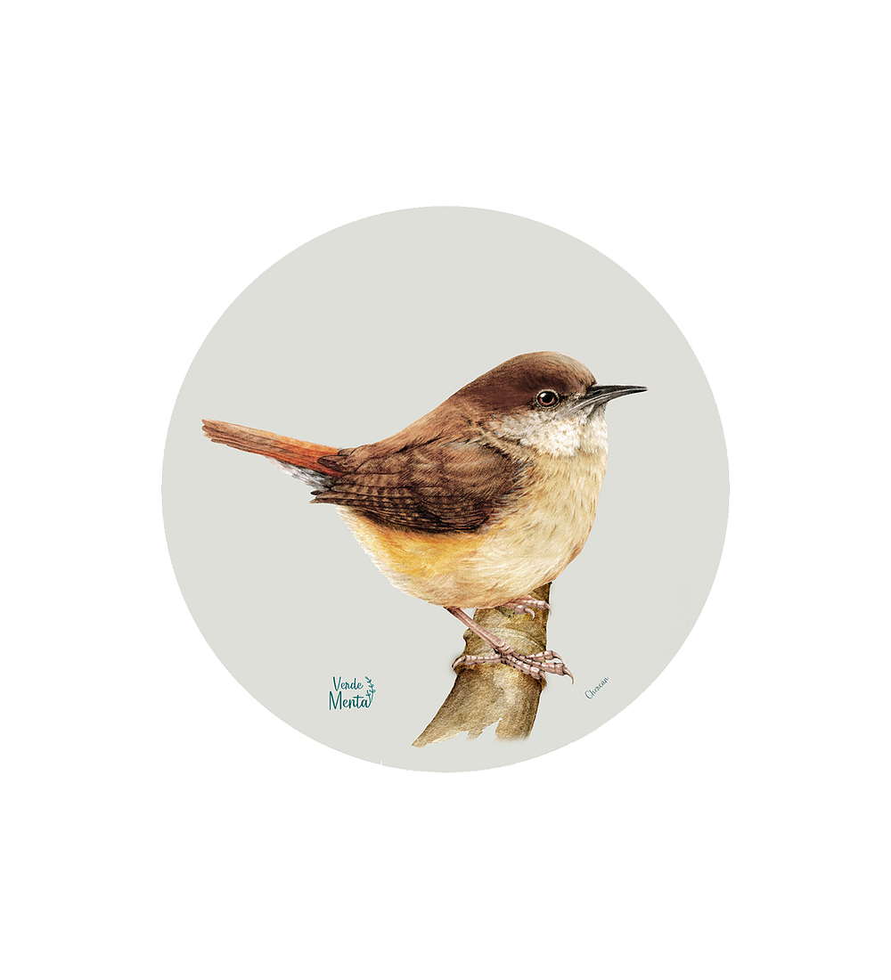 Set 6 individuales Chercan- Redondo 37 x 37 cm