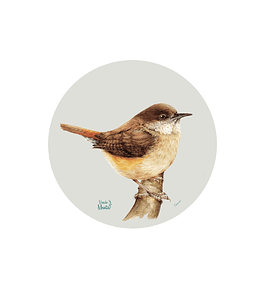 Set 6 individuales Chercan- Redondo 37 x 37 cm