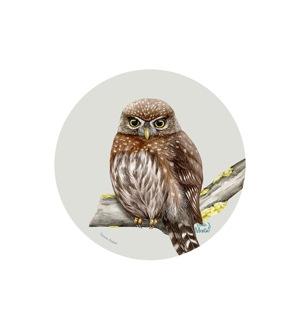 Set 6 individuales Chuncho Austral - Redondo 37 x 37 cm