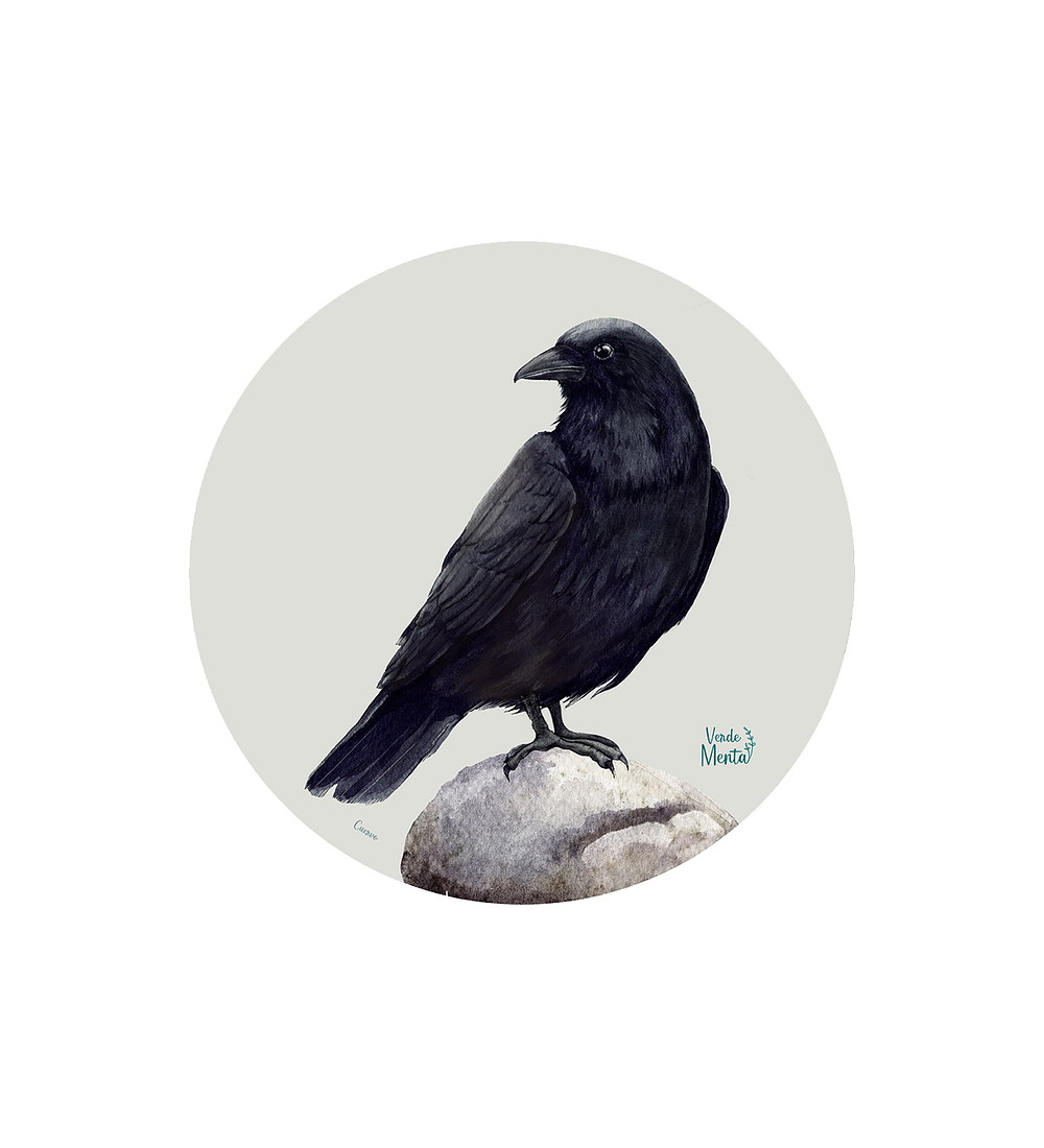 Set 6 individuales Cuervo- Redondo 37 x 37 cm