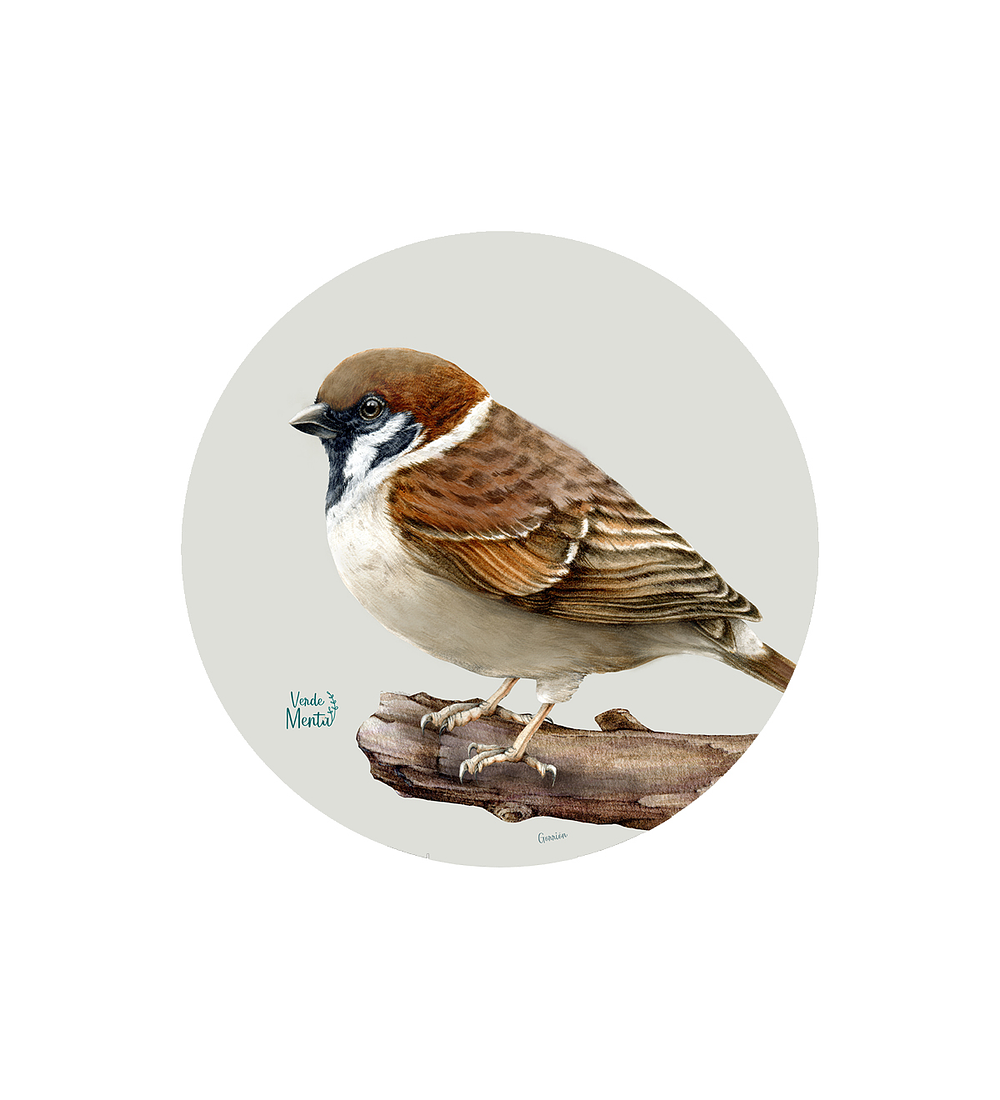 Set 6 individuales Gorrión - Redondo 37 x 37 cm