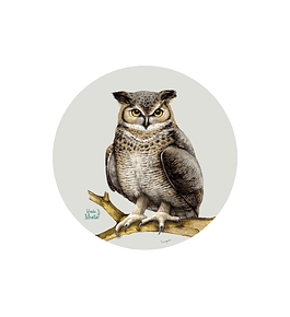 Set 6 individuales Tucúquere- Redondo 37 x 37 cm