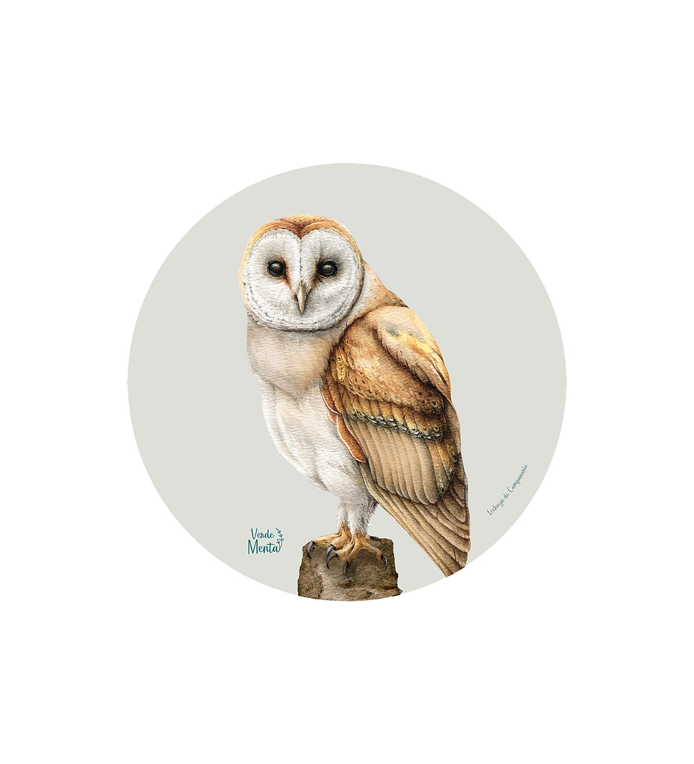 Set 6 individuales Lechuza de Campanario - Redondo 37 x 37 cm