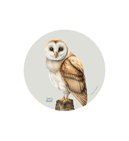 Set 6 individuales Lechuza de Campanario - Redondo 37 x 37 cm