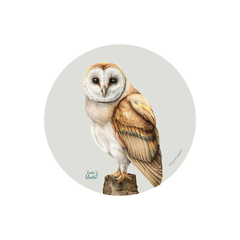 Set 6 individuales Lechuza de Campanario - Redondo 37 x 37 cm