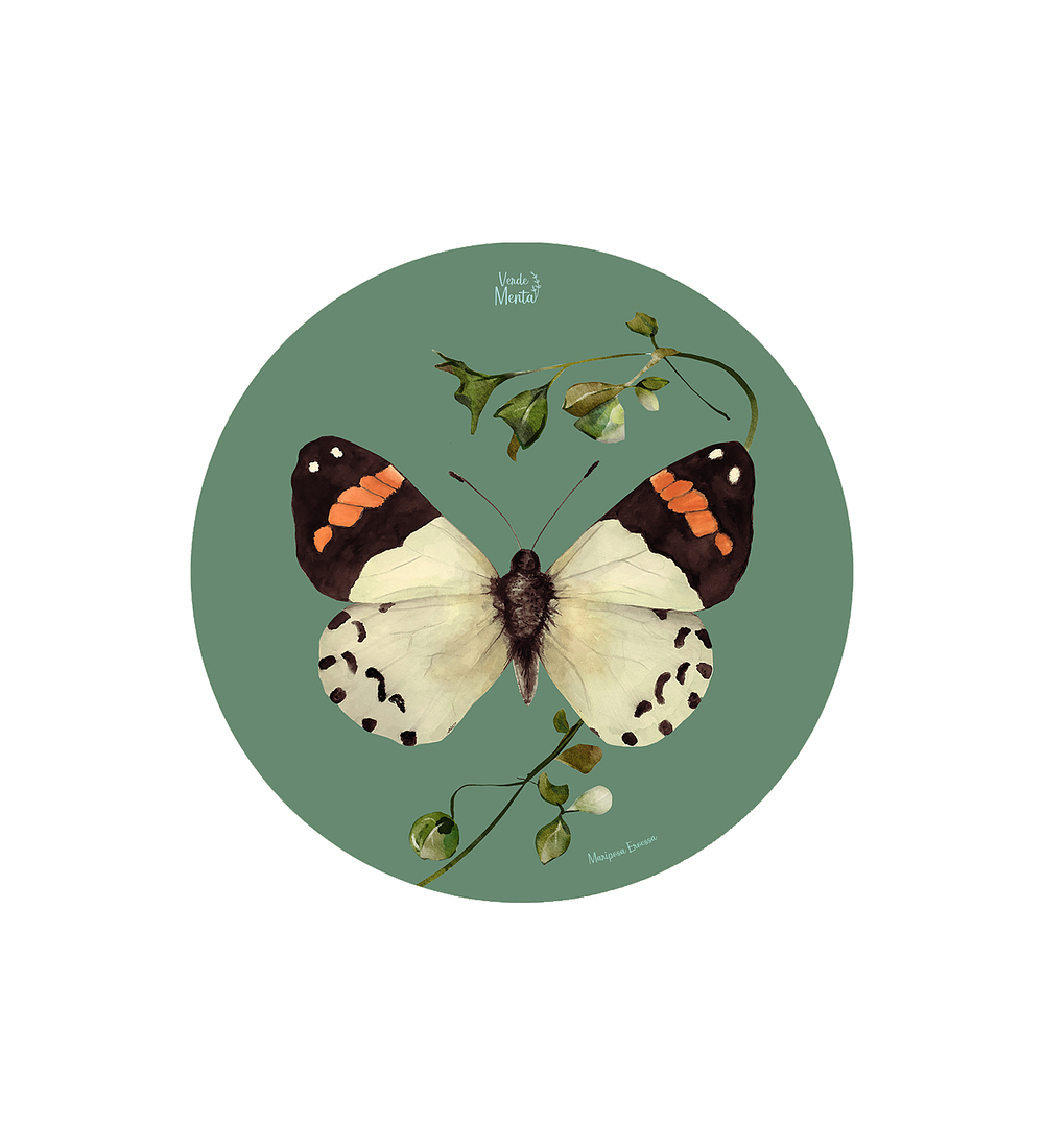 SET 6 INDIVIDUALES MARIPOSA EROESSA REDONDO