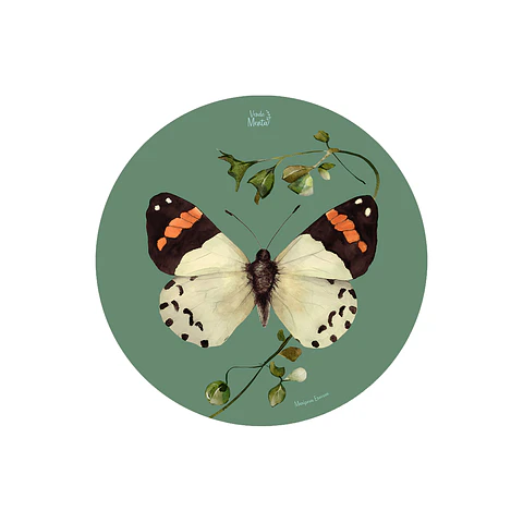 SET 6 INDIVIDUALES MARIPOSA EROESSA REDONDO