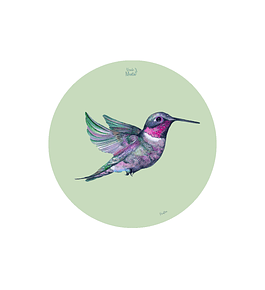 SET 6 INDIVIDUALES PICAFLOR LILA REDONDO