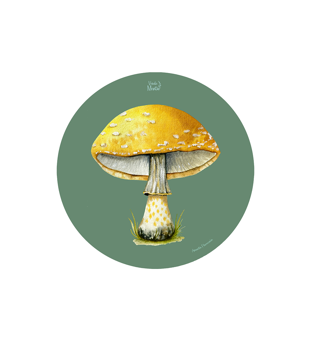 SET 6 INDIVIDUALES AMANITA AMARILLA REDONDO