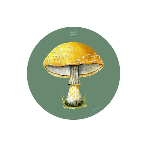 SET 6 INDIVIDUALES AMANITA AMARILLA REDONDO