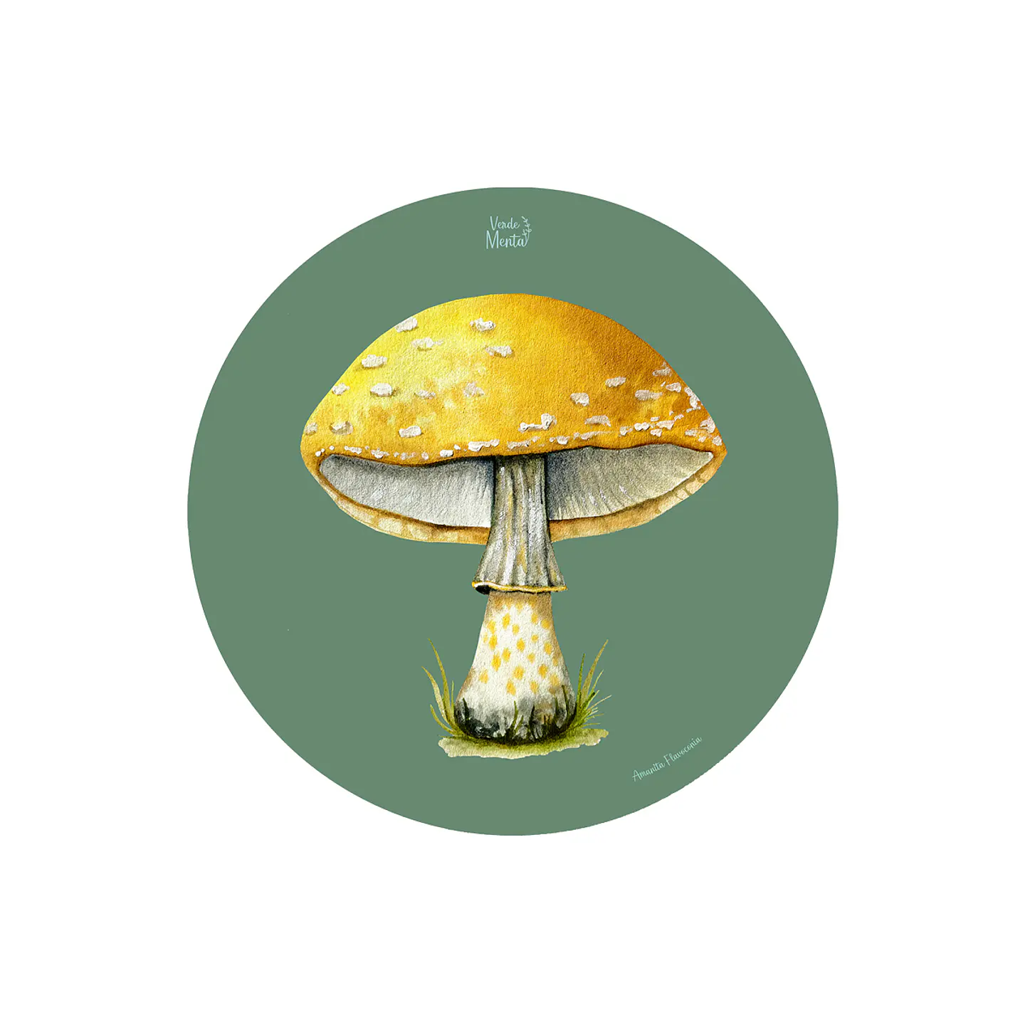 SET 6 INDIVIDUALES AMANITA AMARILLA REDONDO 1