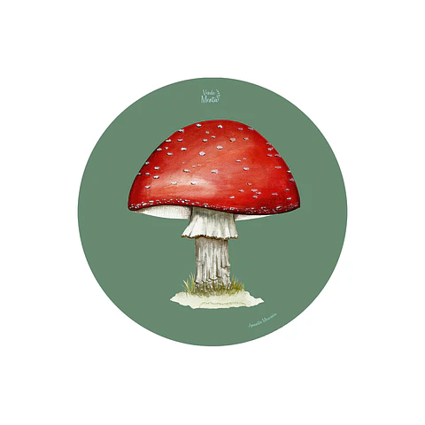 SET 6 INDIVIDUALES AMANITA REDONDO