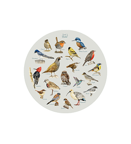 SET 6 INDIVIDUALES AVES DE CHILE REDONDO