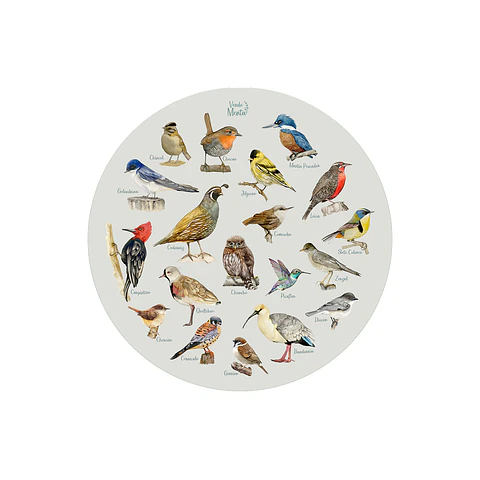 SET 6 INDIVIDUALES AVES DE CHILE REDONDO