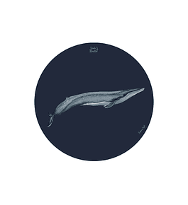 SET 6 INDIVIDUALES BALLENA AZUL REDONDO